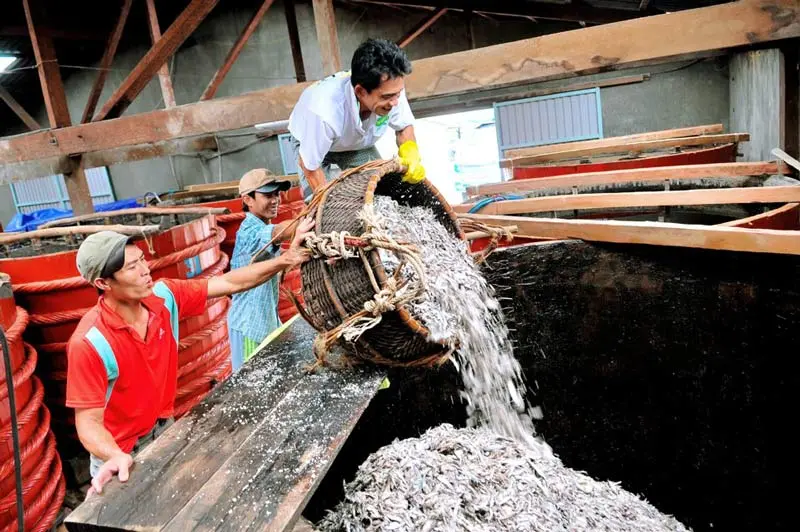 Nước mắm Phú Quốc: Đặc sản Đảo Ngọc vang danh quốc tế 3