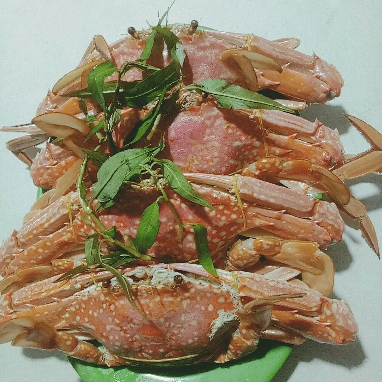 Qu&aacute;n Việt Ph&uacute; Quốc - Dấu ấn ẩm thực từ đặc sản gỏi c&aacute; tr&iacute;ch 11