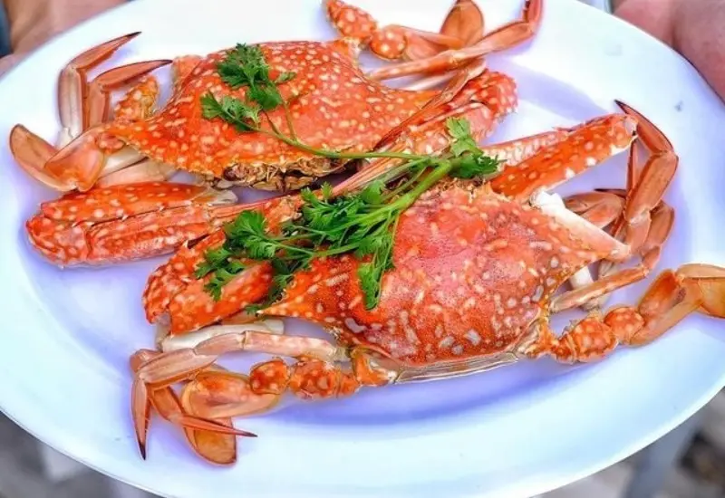 Du lịch Phú Quốc Tết 2026: kỳ nghỉ hoàn hảo cho cả gia đình 9