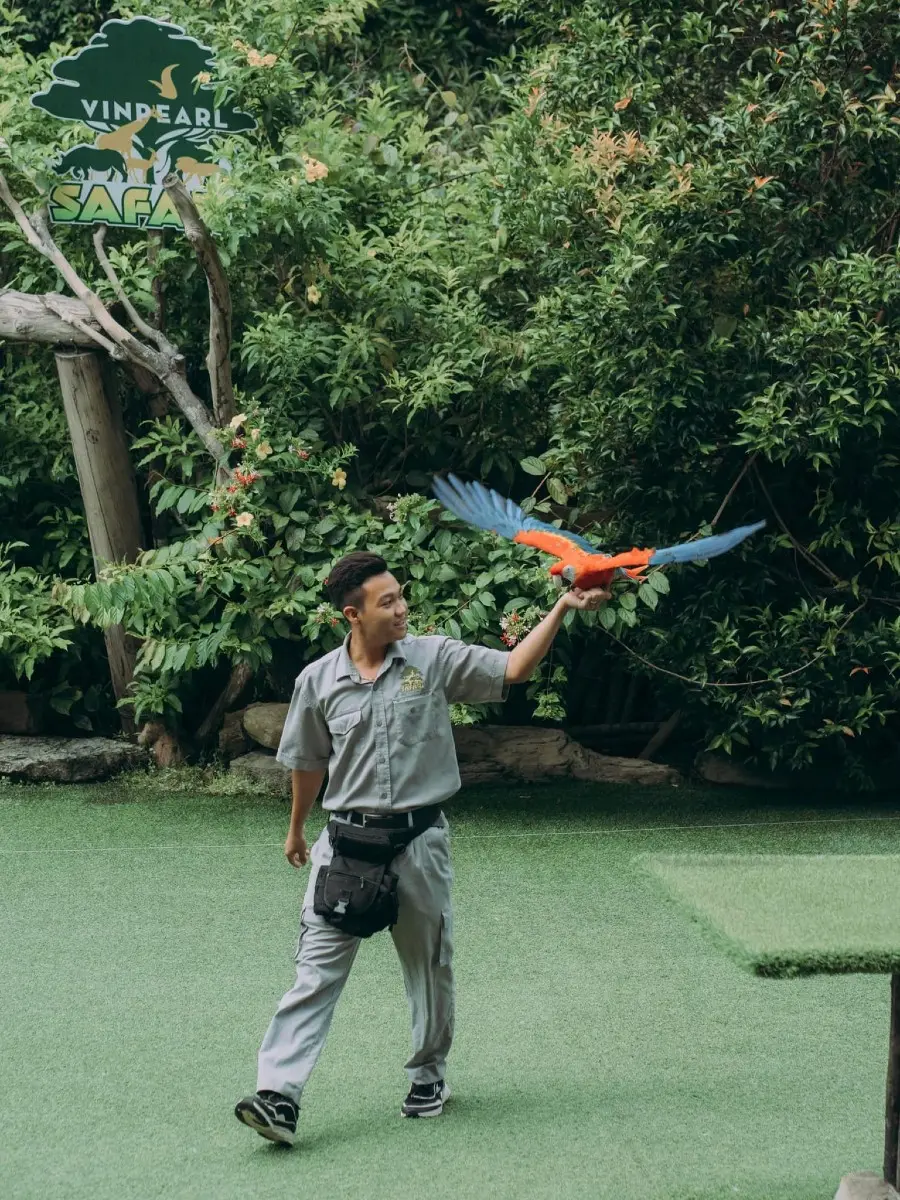 Một ng&agrave;y tại Vinpearl Safari, vườn th&uacute; b&aacute;n hoang d&atilde; trong l&ograve;ng Đảo Ngọc 5