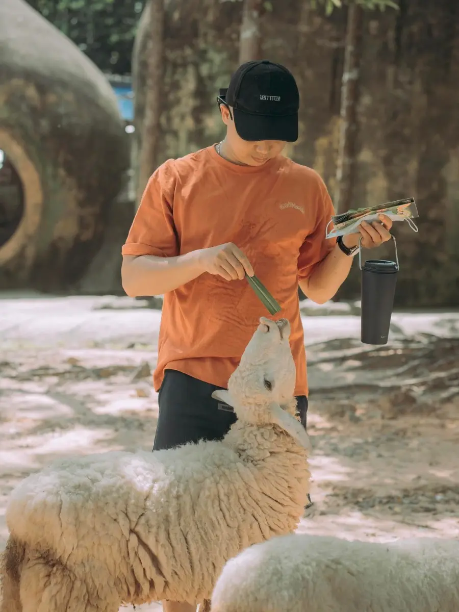 Một ng&agrave;y tại Vinpearl Safari, vườn th&uacute; b&aacute;n hoang d&atilde; trong l&ograve;ng Đảo Ngọc 10