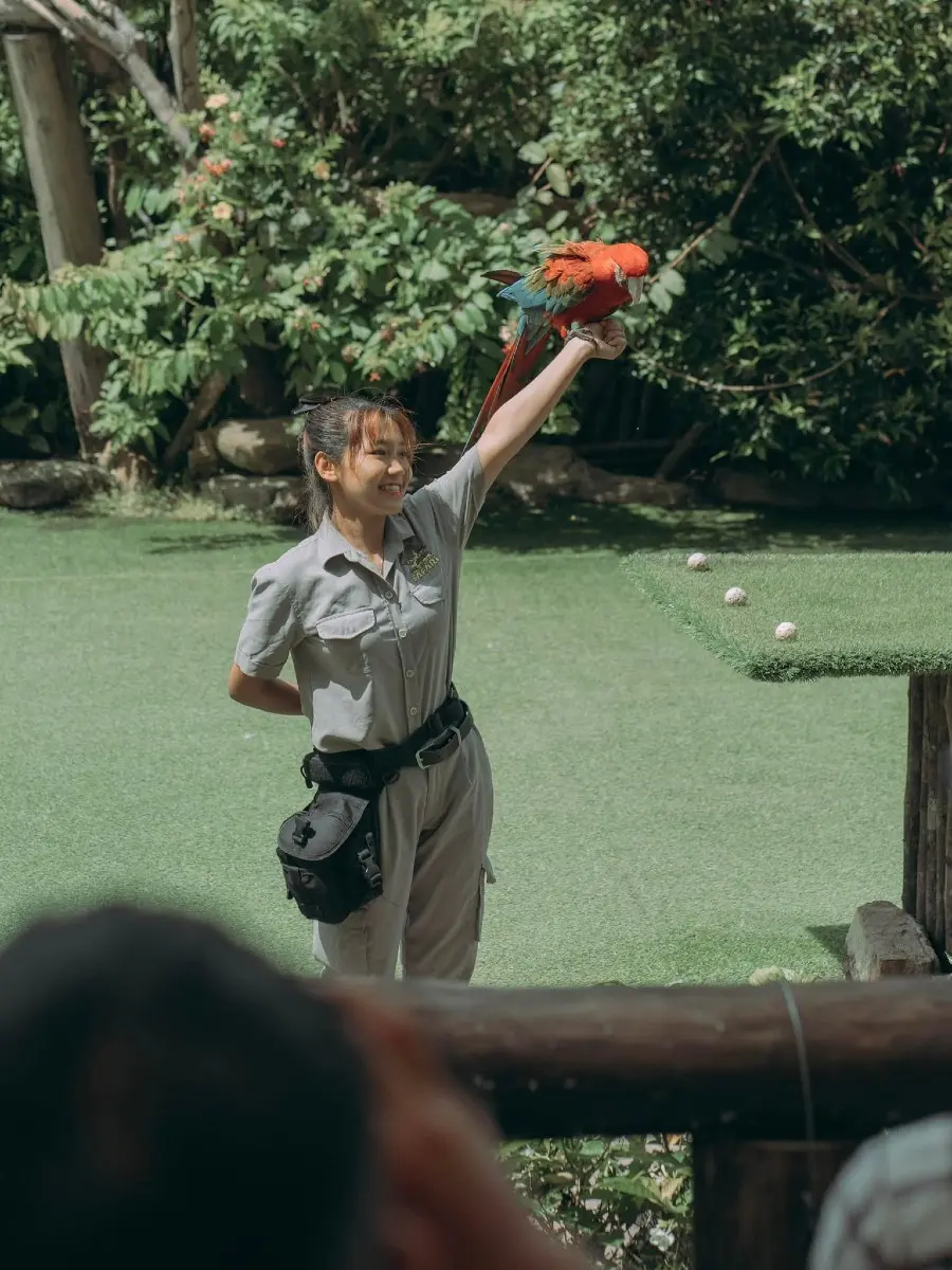 Một ng&agrave;y tại Vinpearl Safari, vườn th&uacute; b&aacute;n hoang d&atilde; trong l&ograve;ng Đảo Ngọc 7