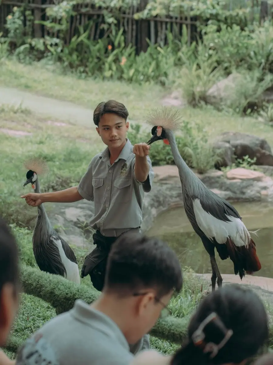 Một ng&agrave;y tại Vinpearl Safari, vườn th&uacute; b&aacute;n hoang d&atilde; trong l&ograve;ng Đảo Ngọc 3