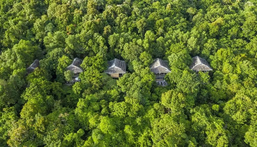 Review khu resort trong rừng ở Ph&uacute; Quốc sở hữu kh&ocirc;ng gian xanh ấn tượng 2