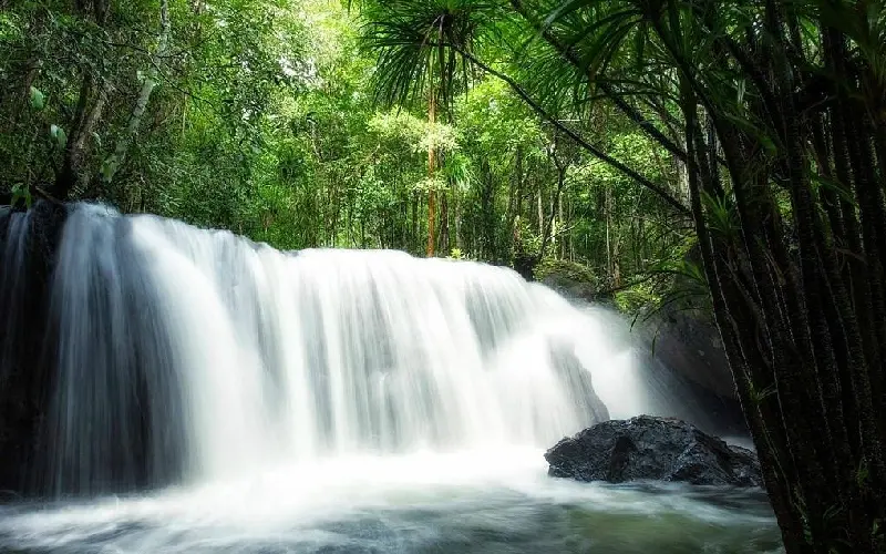 Suối Tranh Waterfall: Thi&ecirc;n đường xanh m&aacute;t giữa rừng nhiệt đới 2