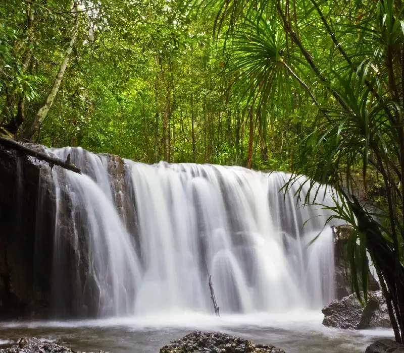 Suối Tranh Waterfall: Thiên đường xanh mát giữa rừng nhiệt đới