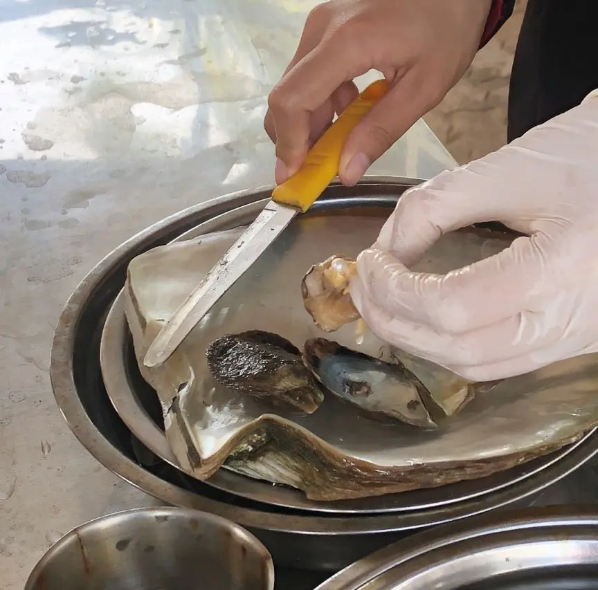 Gợi &yacute; lịch tr&igrave;nh kh&aacute;m ph&aacute; Ph&uacute; Quốc 1 ng&agrave;y trọn vẹn 9