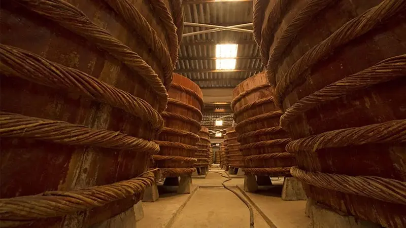 Lịch tr&igrave;nh du lịch Ph&uacute; Quốc 3 ng&agrave;y 2 đ&ecirc;m chi&ecirc;m ngưỡng đảo xanh tiết kiệm chi ph&iacute; 9