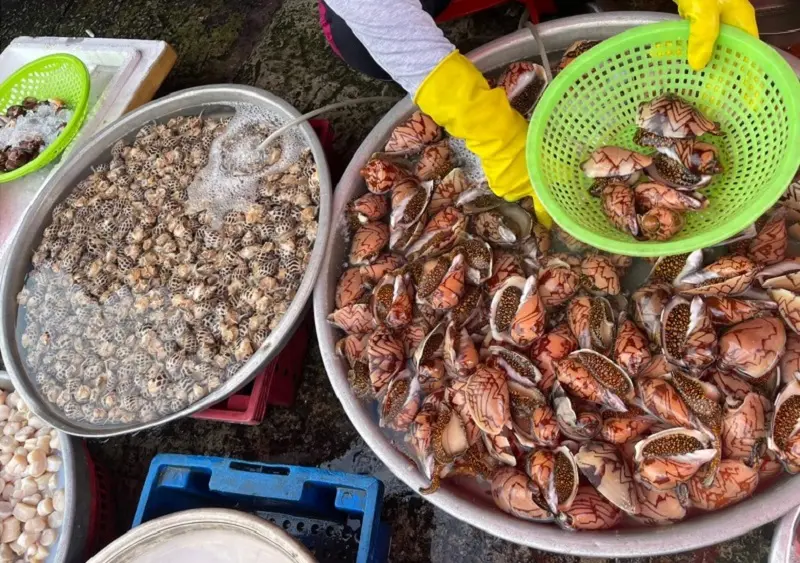 Lịch tr&igrave;nh du lịch Ph&uacute; Quốc 3 ng&agrave;y 2 đ&ecirc;m chi&ecirc;m ngưỡng đảo xanh tiết kiệm chi ph&iacute; 14