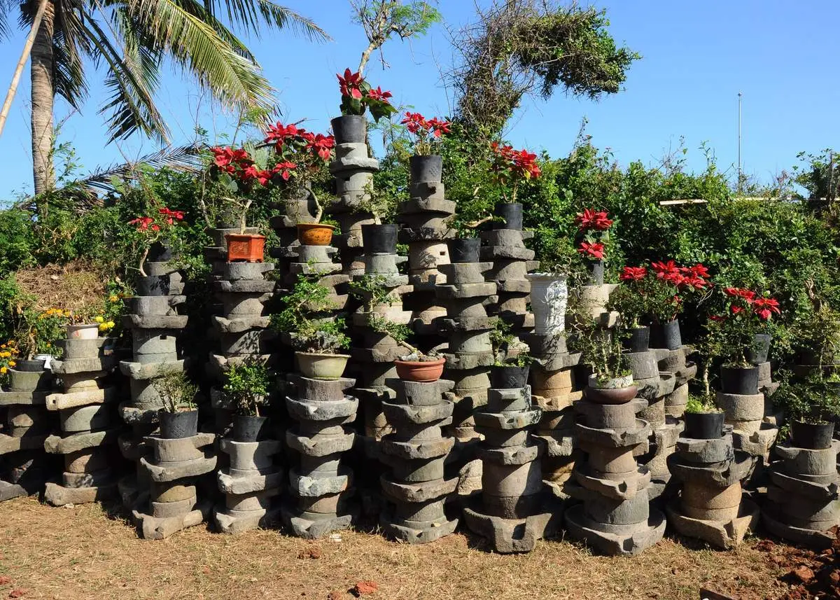 Chiêm ngưỡng vẻ đẹp hoài cổ, không bao giờ cũ tại Hồn Xưa Phú Yên