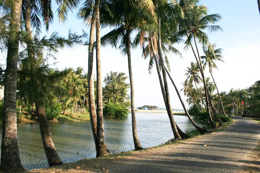 B&atilde;i biển Long Thuỷ Ph&uacute; Y&ecirc;n - N&eacute;t đẹp hoang sơ, thanh b&igrave;nh 6