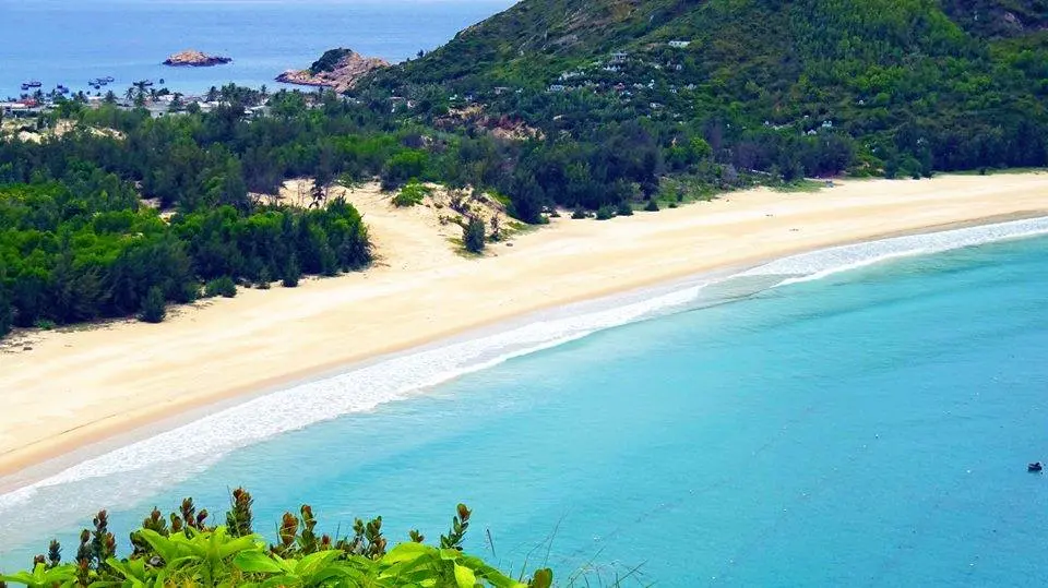 B&atilde;i Nồm Ph&uacute; Y&ecirc;n - C&oacute; một n&agrave;ng ti&ecirc;n dần được đ&aacute;nh thức ở xứ hoa v&agrave;ng cỏ xanh 7