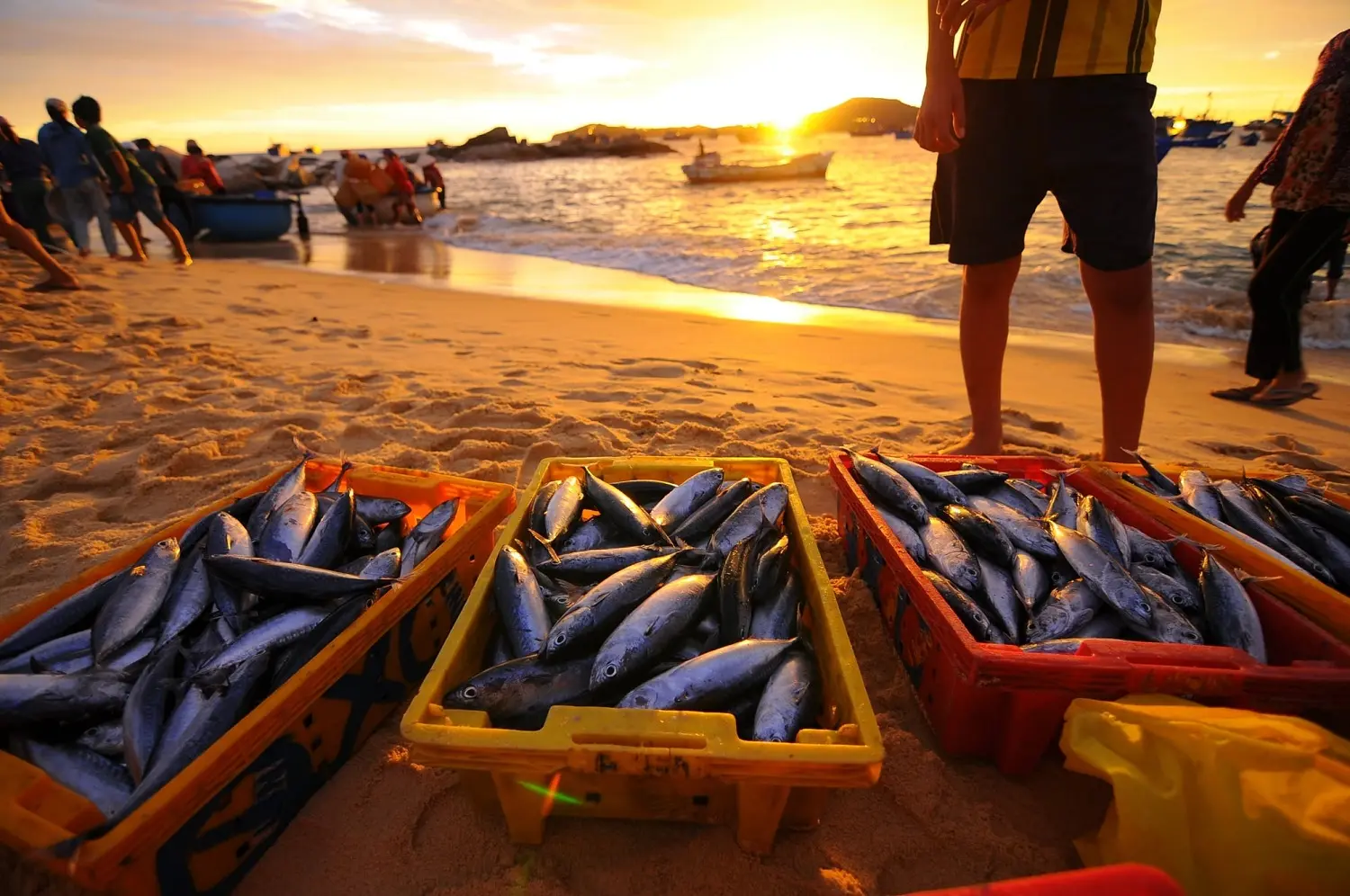 Làng Chài An Hải - Nơi sở hữu vẻ đẹp hoang sơ cùng cuộc sống bình dị mà người trẻ đang kiếm tìm 10