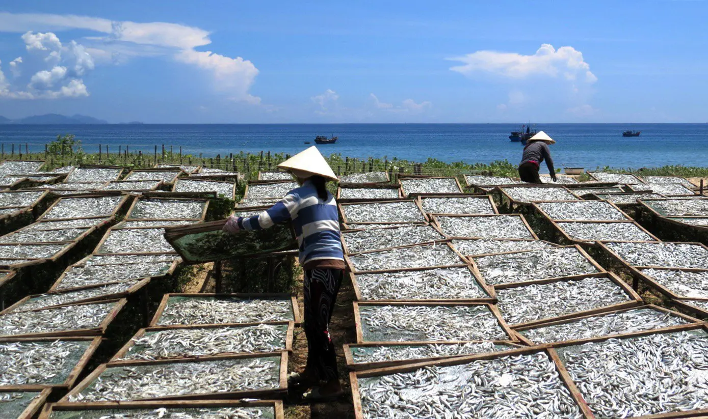 Lắng nghe c&acirc;u chuyện về L&agrave;ng nghề Nước mắm truyền thống - G&agrave;nh Đỏ Ph&uacute; Y&ecirc;n 3