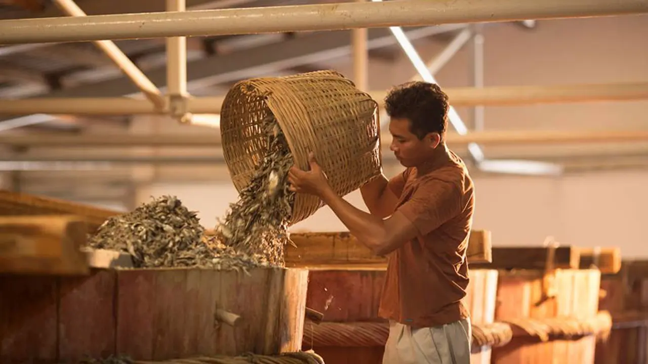 Lắng nghe c&acirc;u chuyện về L&agrave;ng nghề Nước mắm truyền thống - G&agrave;nh Đỏ Ph&uacute; Y&ecirc;n 6