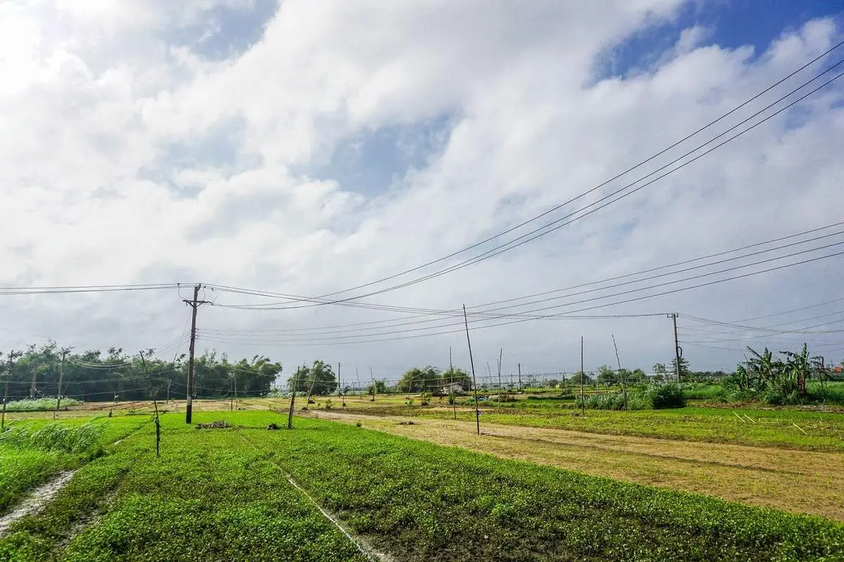 Làng rau Ngọc Lãng - Trải nghiệm đầy thú vị tại vườn rau sạch rộng lớn nhất Phú Yên 9