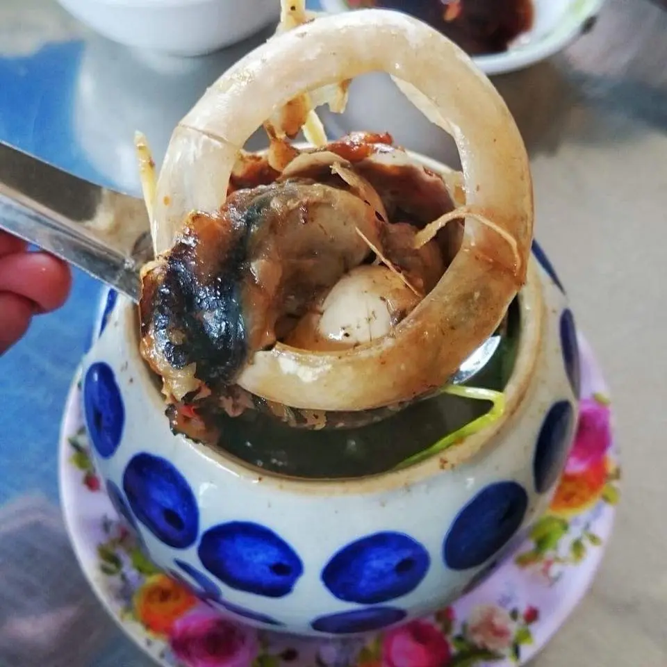 Mắt c&aacute; bốc lửa (đ&egrave;n pha đại dương) ở Ph&uacute; Y&ecirc;n, bạn đ&atilde; thử chưa? 8