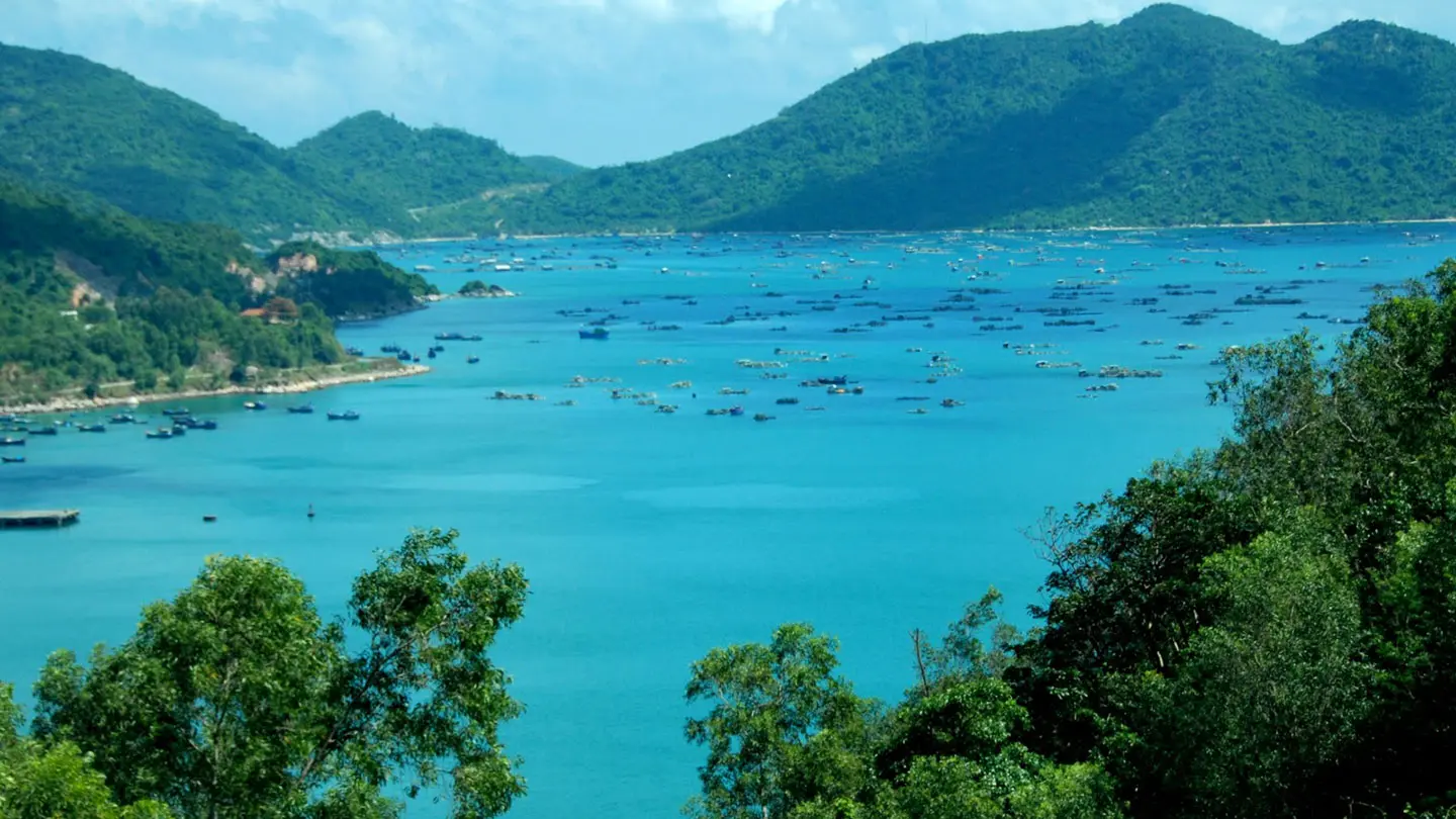 Ngắm vẻ đẹp hoang sơ, đầy mê hoặc của Bãi Môn Phú Yên ở xứ hoa vàng cỏ xanh 5