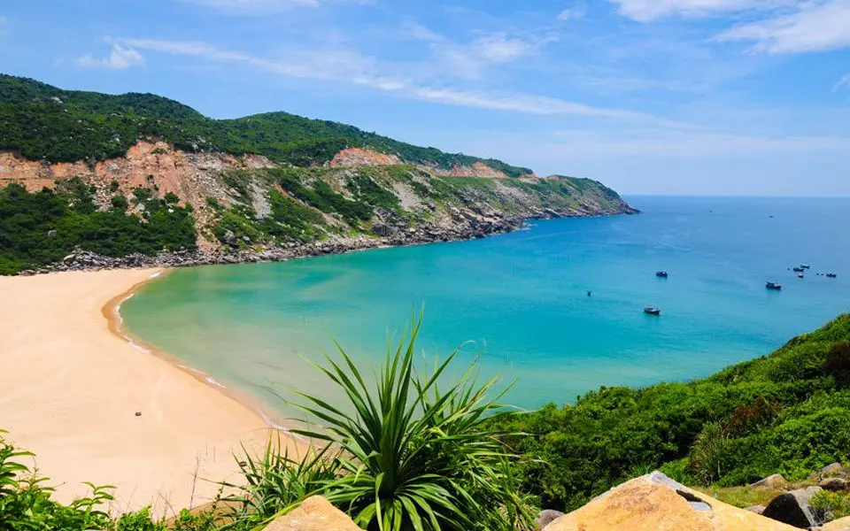 Ngắm vẻ đẹp hoang sơ, đầy mê hoặc của Bãi Môn Phú Yên ở xứ hoa vàng cỏ xanh 2
