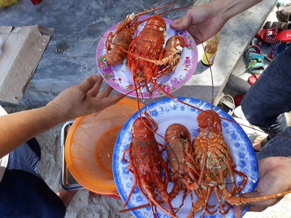 Ngẩn ngơ trước vẻ đẹp hoang sơ của b&atilde;i biển Vịnh Ho&agrave; Ph&uacute; Y&ecirc;n 8