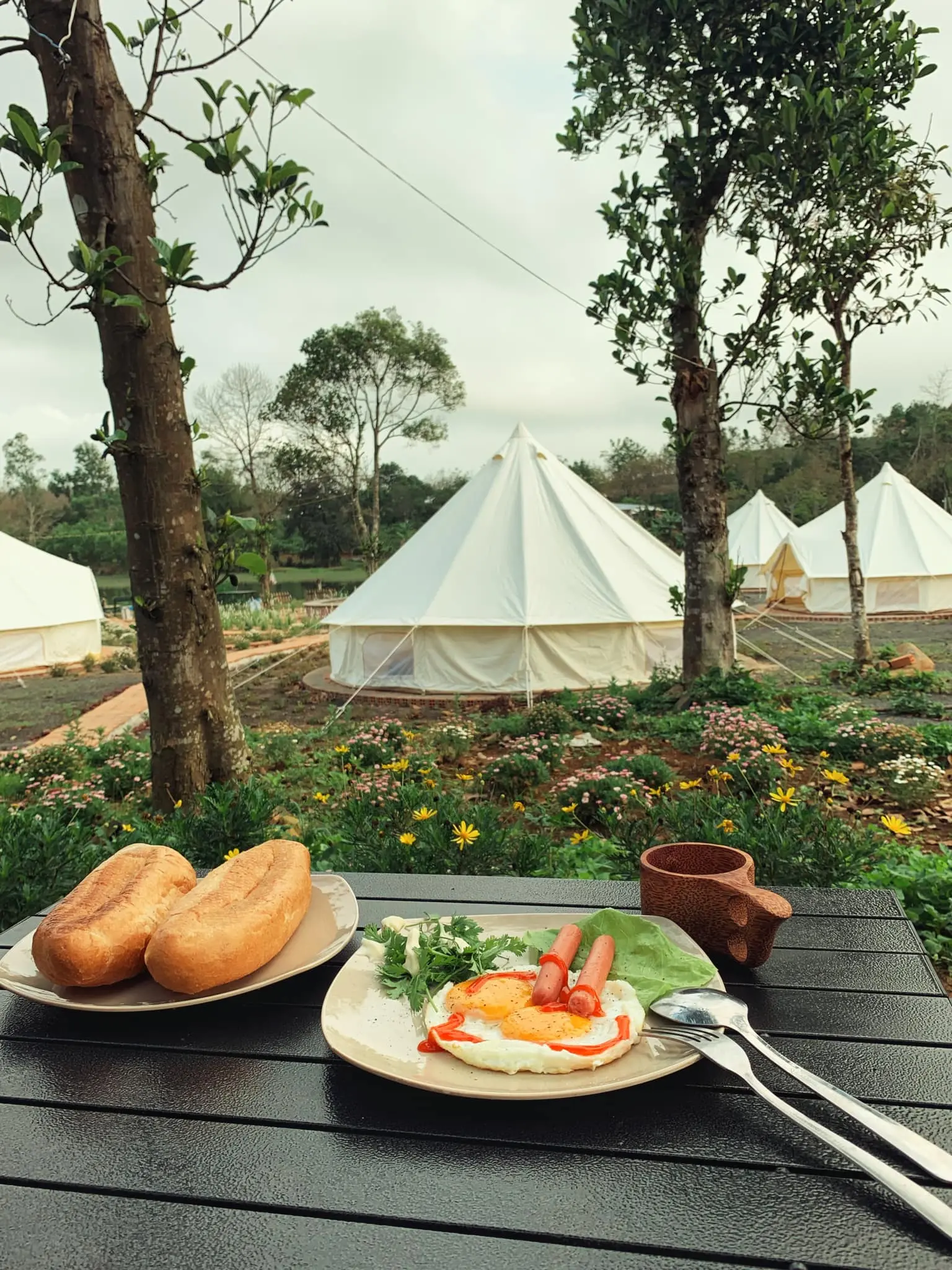 Ph&uacute; Y&ecirc;n Camping Trip - Điểm đến của những t&acirc;m hồn hay mơ mộng 8