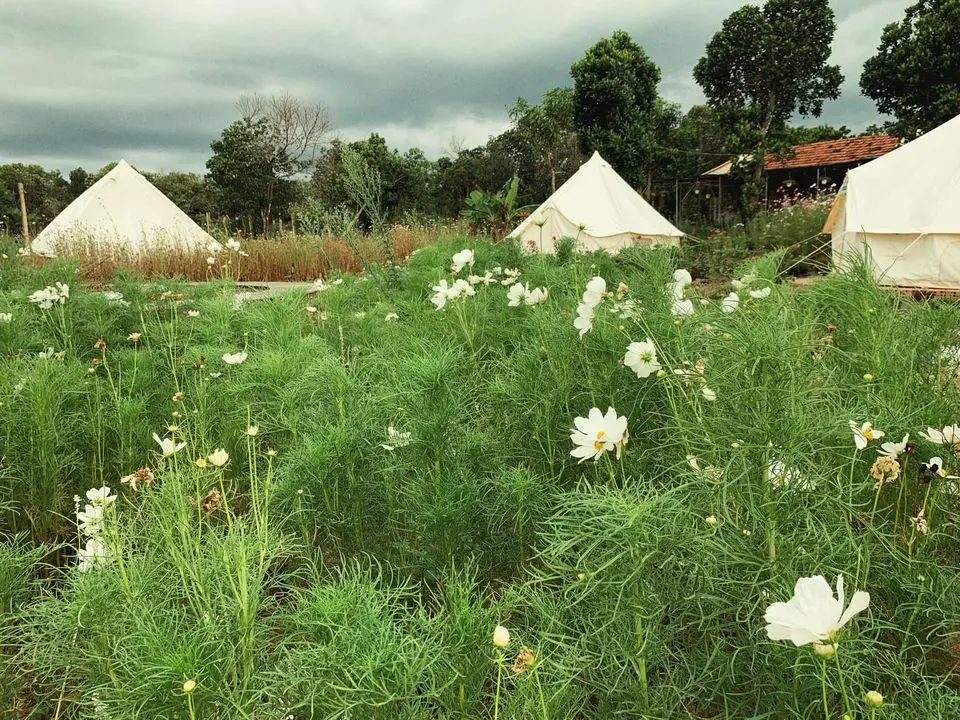 Ph&uacute; Y&ecirc;n Camping Trip - Điểm đến của những t&acirc;m hồn hay mơ mộng 9