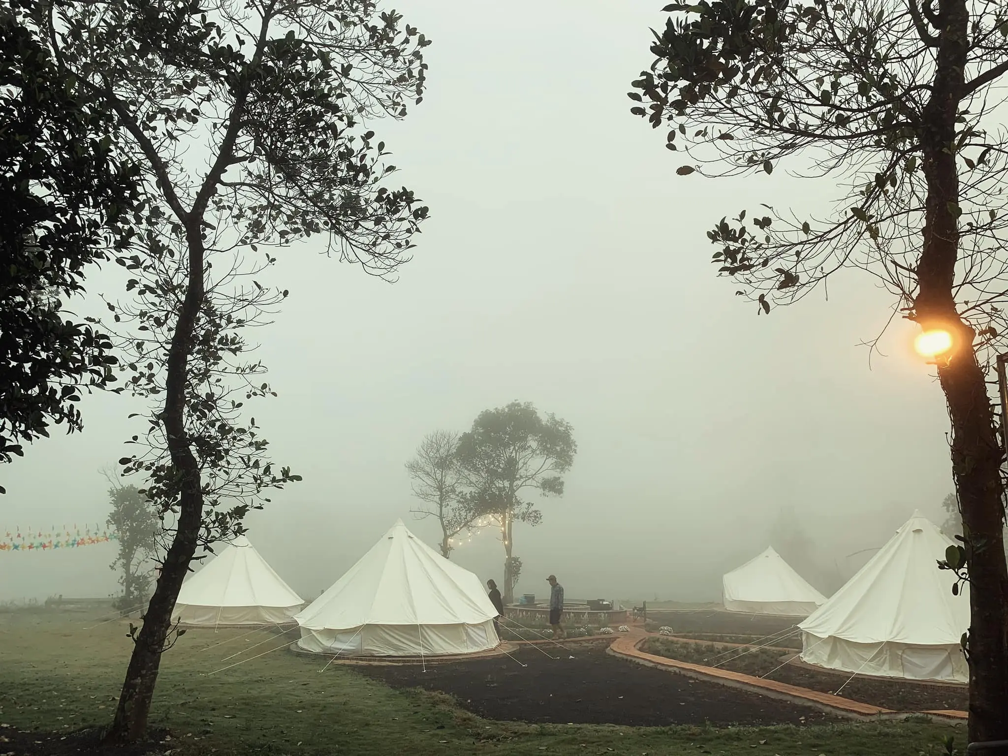 Ph&uacute; Y&ecirc;n Camping Trip - Điểm đến của những t&acirc;m hồn hay mơ mộng 3