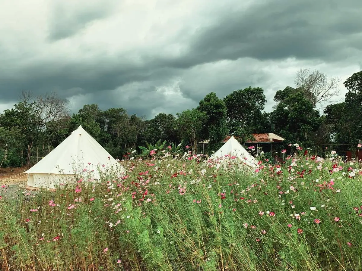 Ph&uacute; Y&ecirc;n Camping Trip - Điểm đến của những t&acirc;m hồn hay mơ mộng 10