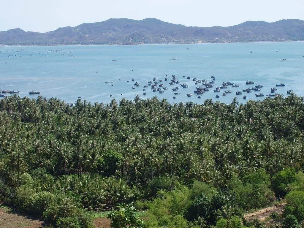 Vịnh Xu&acirc;n Đ&agrave;i Ph&uacute; Y&ecirc;n - Vẻ đẹp trữ t&igrave;nh được thi&ecirc;n nhi&ecirc;n ban tặng 5