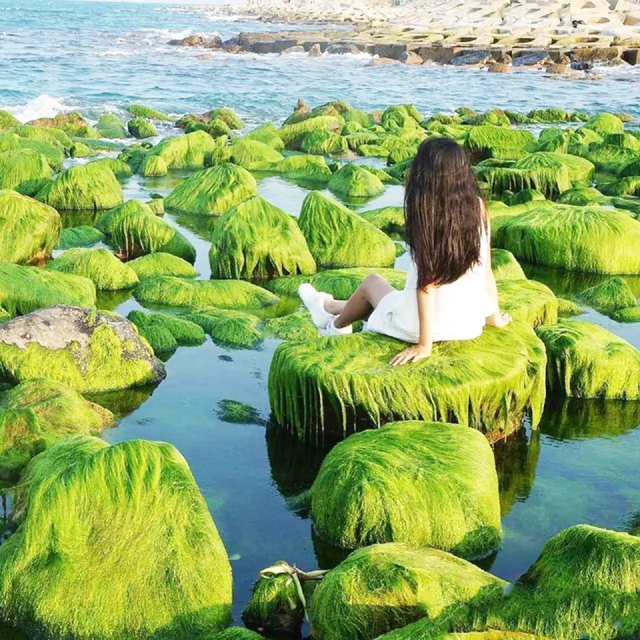 X&oacute;m Rớ - B&atilde;i đ&aacute; r&ecirc;u xanh độc đ&aacute;o nhất tại Ph&uacute; Y&ecirc;n 7