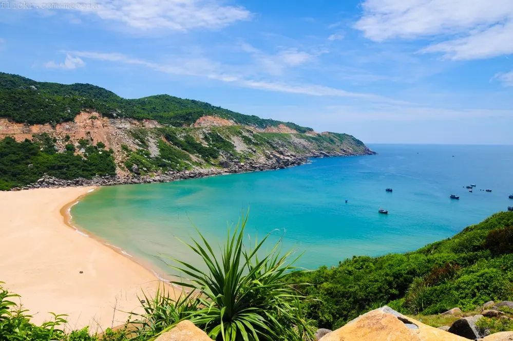 Vi Vu Hòn Nưa Phú Yên - Viên bạch ngọc sáng rực giữa đại dương