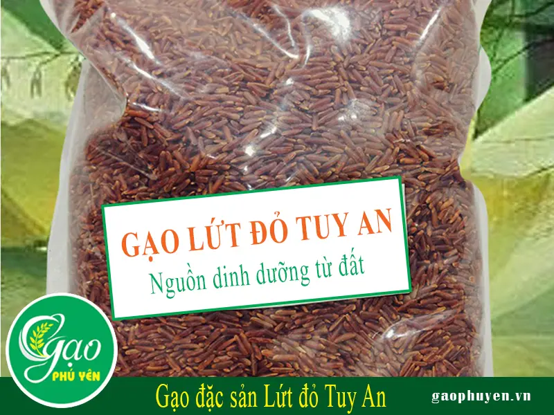 Cơm gạo đỏ Phú Yên - Loại gạo đặc biệt tại khu vực vùng núi Phú Yên