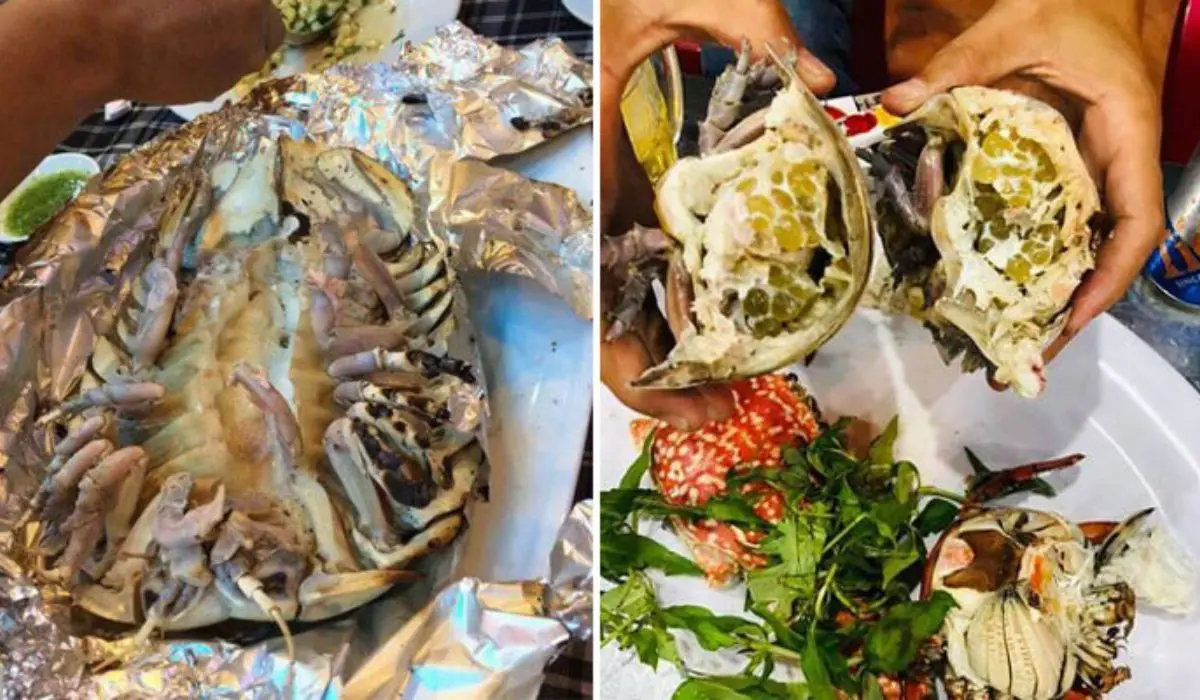Bất ngờ với độ ngon kh&oacute; cưỡng ẩn sau h&igrave;nh dạng kỳ lạ của bọ biển Ph&uacute; Y&ecirc;n 5
