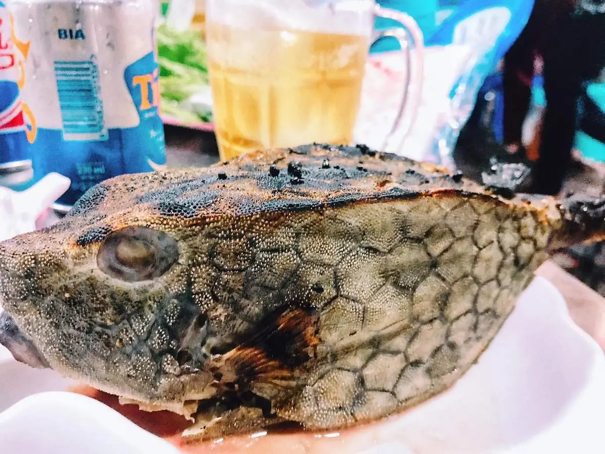 Gà nước mặn Phú Yên - Thượng phẩm quý hiếm không thể bỏ qua nếu có cơ hội thưởng thức 10