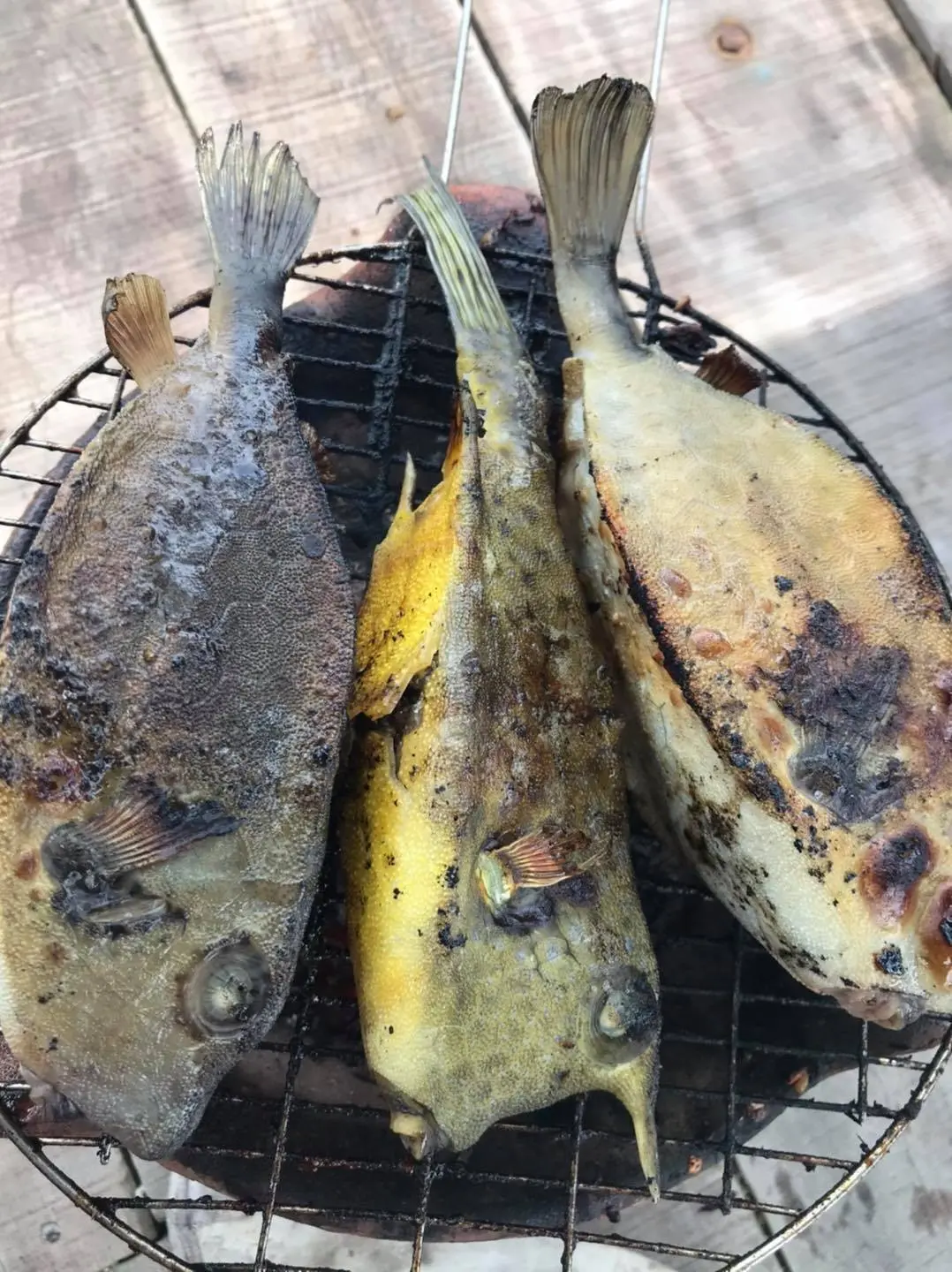 Gà nước mặn Phú Yên - Thượng phẩm quý hiếm không thể bỏ qua nếu có cơ hội thưởng thức 6