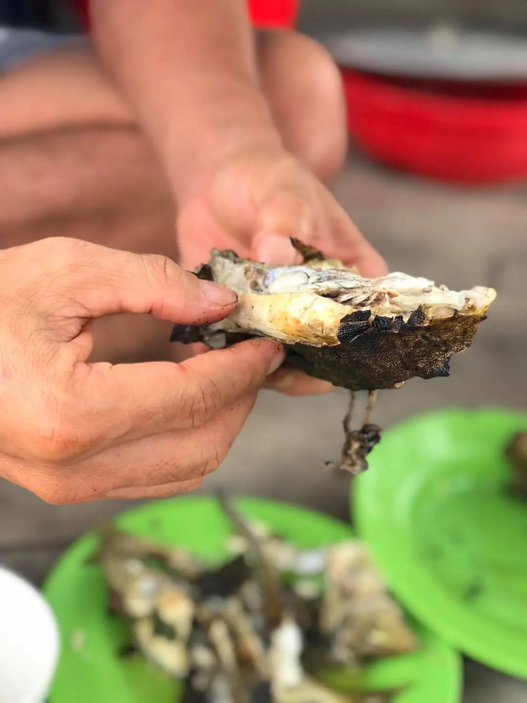 Gà nước mặn Phú Yên - Thượng phẩm quý hiếm không thể bỏ qua nếu có cơ hội thưởng thức 5