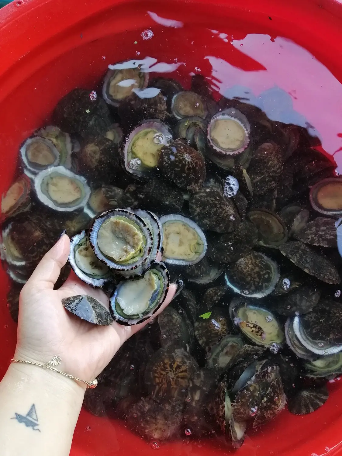 Hải sản b&egrave; nổi Vũng R&ocirc; Ph&uacute; Y&ecirc;n &ndash; Mu&ocirc;n v&agrave;n m&oacute;n ngon với hương vị đậm đ&agrave;, hấp dẫn 13
