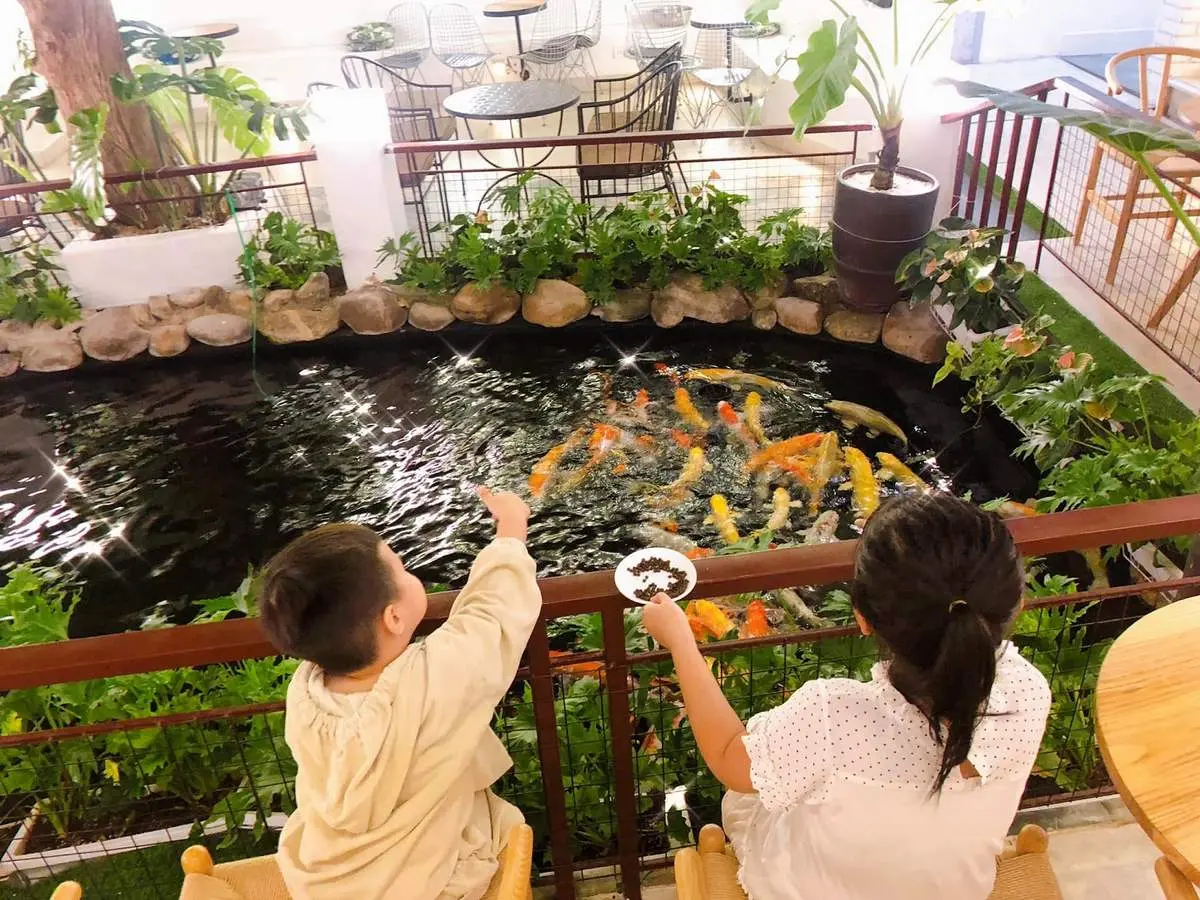 KOI caf&eacute; Ph&uacute; Y&ecirc;n &ndash; Qu&aacute;n c&agrave; ph&ecirc; c&aacute; Koi đầu ti&ecirc;n tại Ph&uacute; Y&ecirc;n 6
