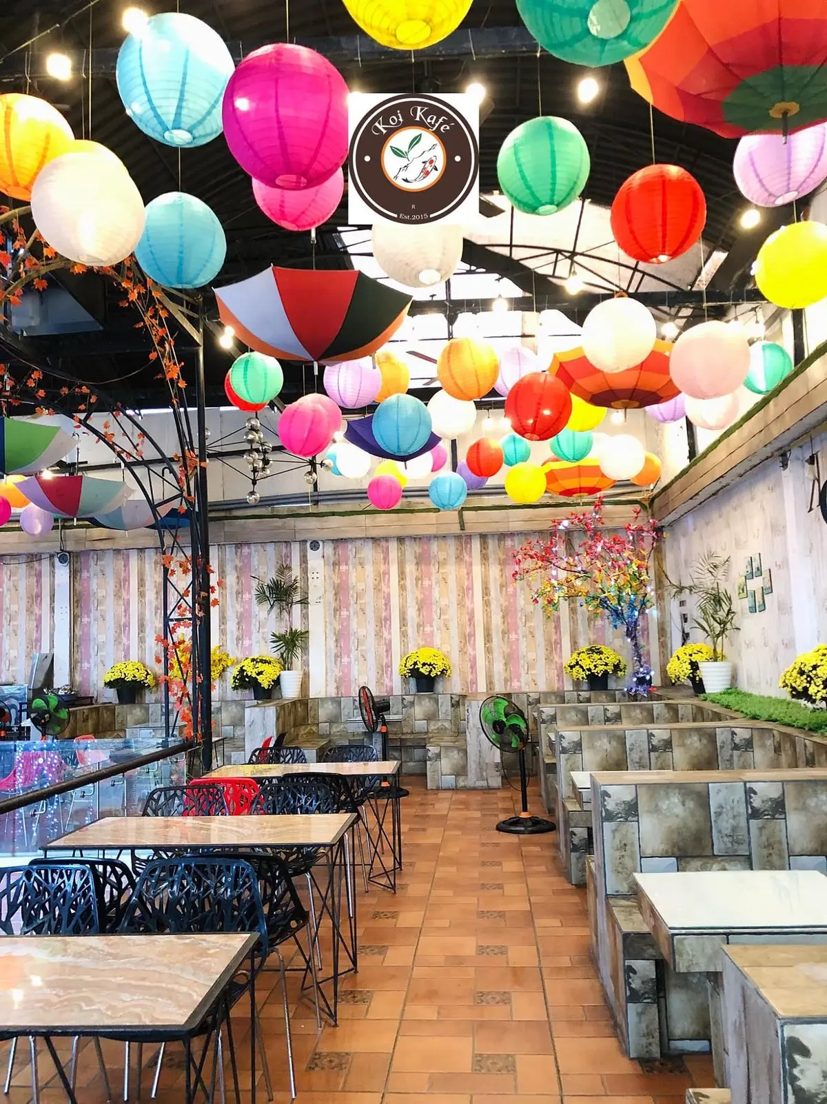 KOI caf&eacute; Ph&uacute; Y&ecirc;n &ndash; Qu&aacute;n c&agrave; ph&ecirc; c&aacute; Koi đầu ti&ecirc;n tại Ph&uacute; Y&ecirc;n 12