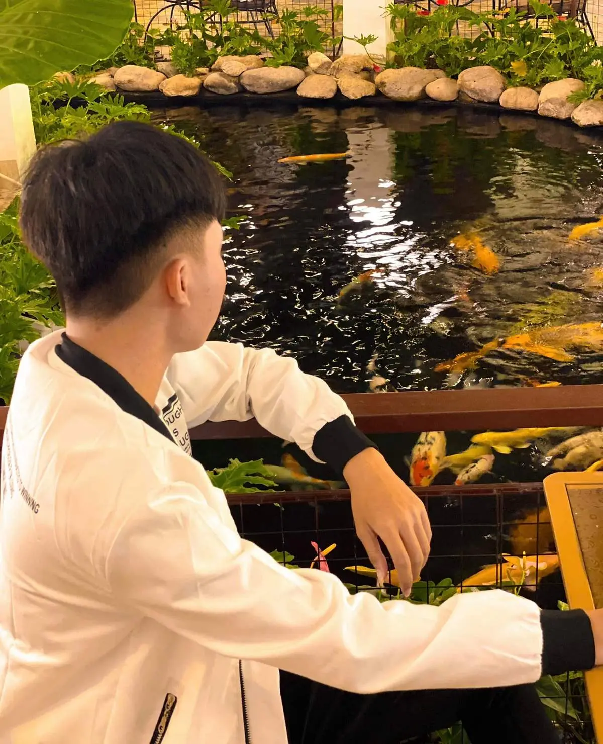 KOI caf&eacute; Ph&uacute; Y&ecirc;n &ndash; Qu&aacute;n c&agrave; ph&ecirc; c&aacute; Koi đầu ti&ecirc;n tại Ph&uacute; Y&ecirc;n 5