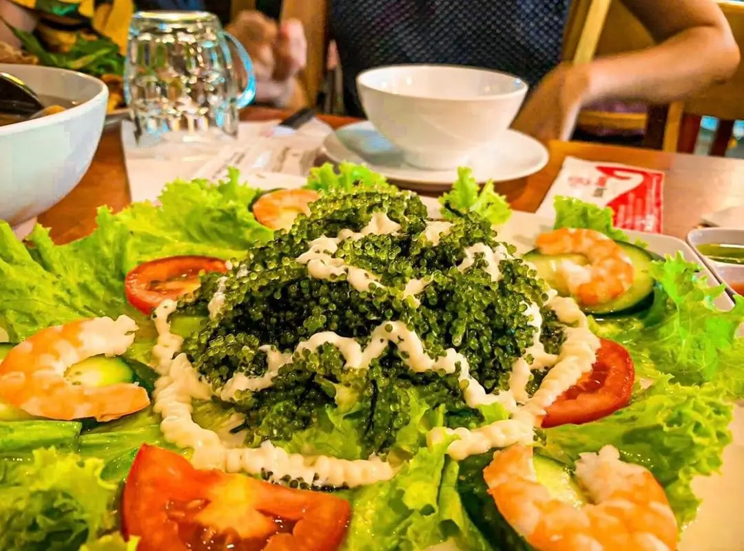 Rong nho biển Phú Yên – Đặc sản xứ Nẫu với những công dụng vô cùng bổ ích 6