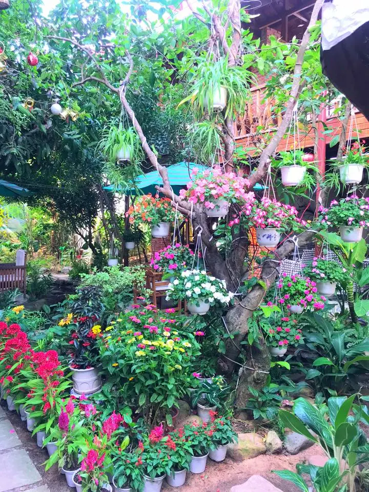 Thưởng thức m&oacute;n b&uacute;n chả nổi tiếng gần xa tại Cafe Bạch Dương Ph&uacute; Y&ecirc;n 5