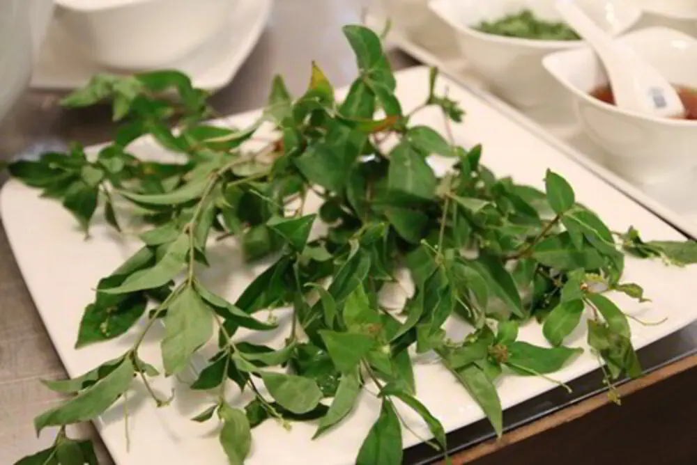 Thưởng thức nồi canh chua l&aacute; d&iacute;t nấu thịt g&agrave; đậm đ&agrave; hương vị miền n&uacute;i Ph&uacute; Y&ecirc;n 2