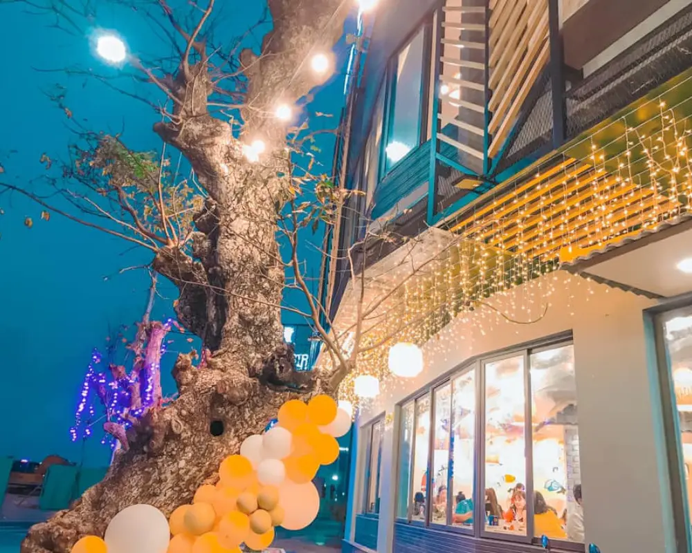 Kicochi House Phú Yên - 1 trong top 10 quán ăn đáng thử nhất tại Phú Yên