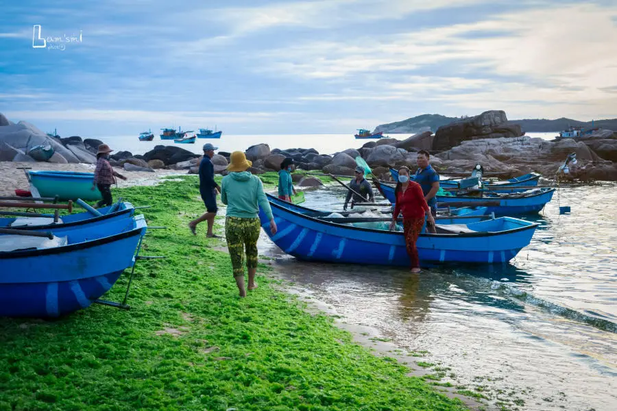 B&igrave;nh minh tr&ecirc;n L&agrave;ng ch&agrave;i An Hải một ng&agrave;y đầu thu 8