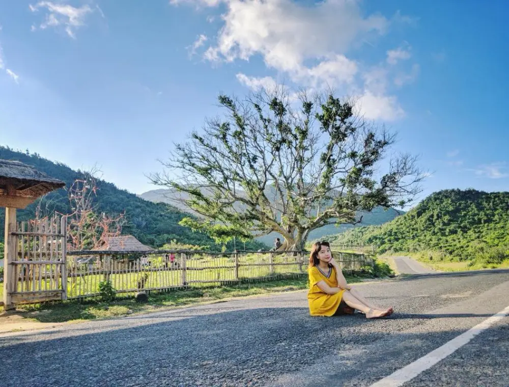 C&acirc;y sung 100 tuổi ở Ph&uacute; Y&ecirc;n - Tọa độ sống ảo đẹp thần sầu tại xứ Nẫu 2