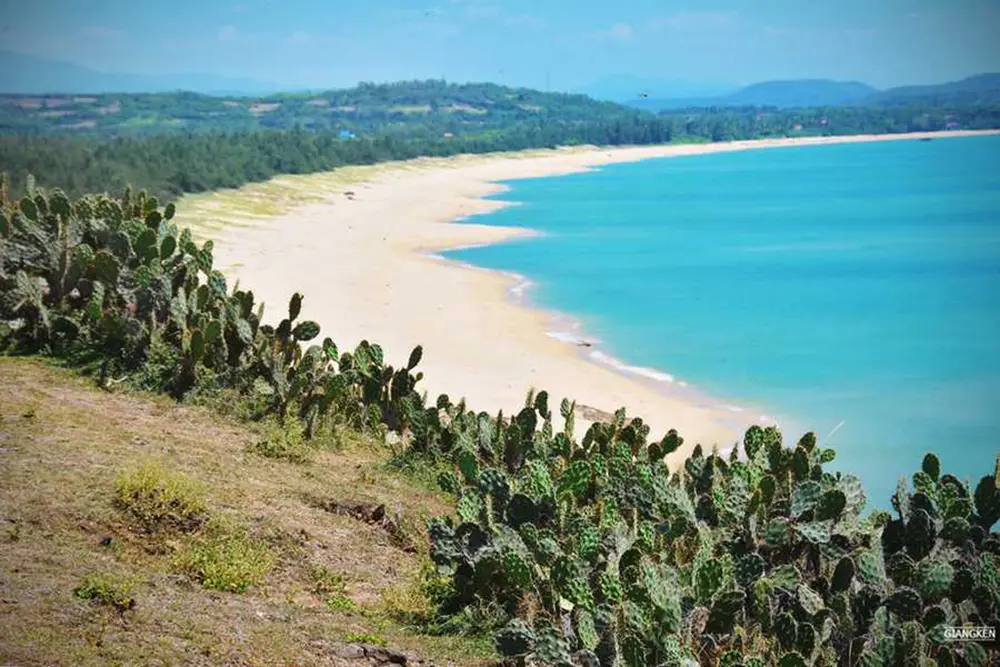 Kinh nghiệm vi vu m&ugrave;a h&egrave; Ph&uacute; Y&ecirc;n từ A đến Z 4