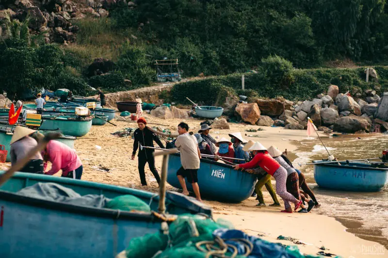 Làng chài Xuân Hải bình dị ở chốn hoa vàng trên cỏ xanh 4