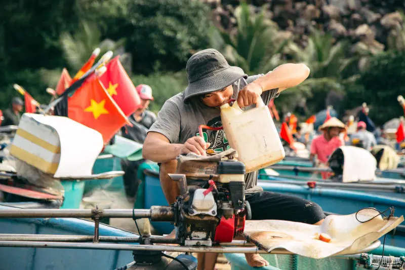 Làng chài Xuân Hải bình dị ở chốn hoa vàng trên cỏ xanh 5