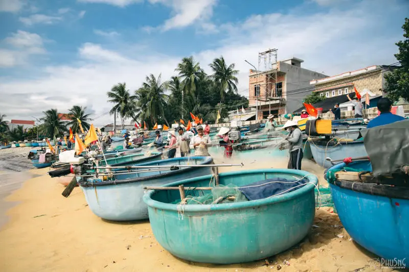 Làng chài Xuân Hải bình dị ở chốn hoa vàng trên cỏ xanh 2